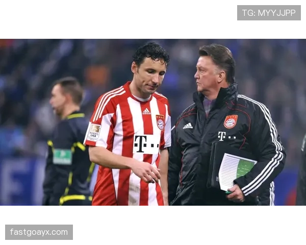 雷吉纳阵容深度解析：新赛季挑战与机遇并存，能否实现突破？